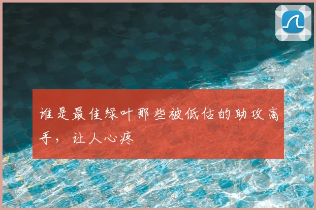 谁是最佳绿叶那些被低估的助攻高手,让人心疼
