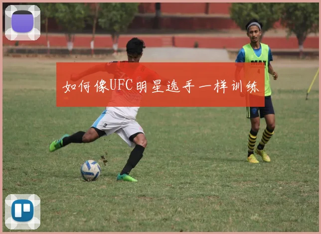 如何像UFC明星选手一样训练