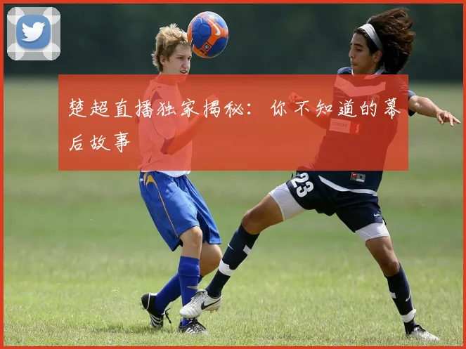 楚超直播独家揭秘：你不知道的幕后故事