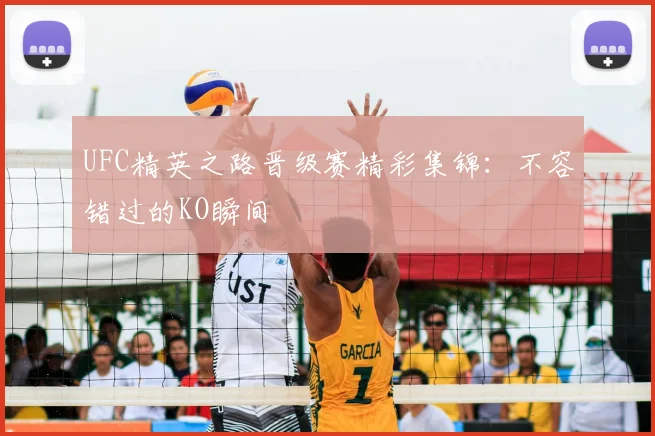 UFC精英之路晋级赛精彩集锦：不容错过的KO瞬间