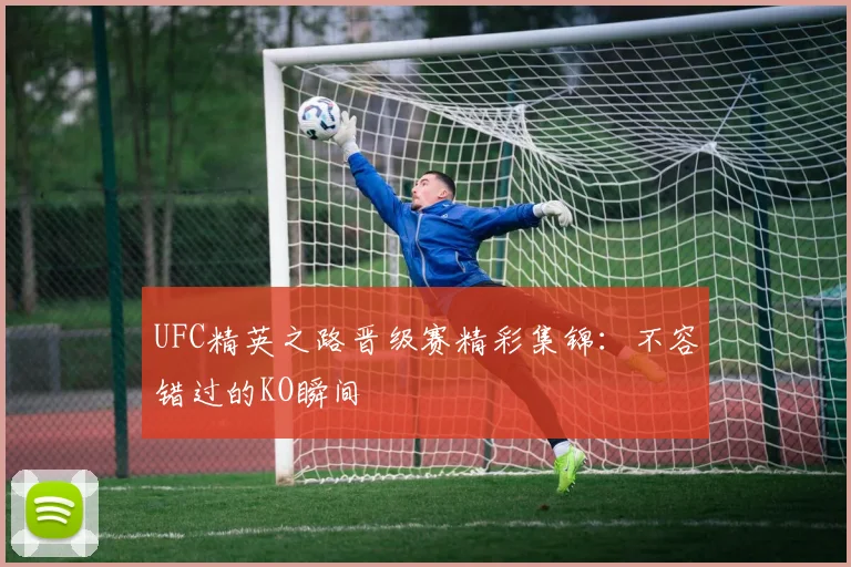 UFC精英之路晋级赛精彩集锦:不容错过的KO瞬间