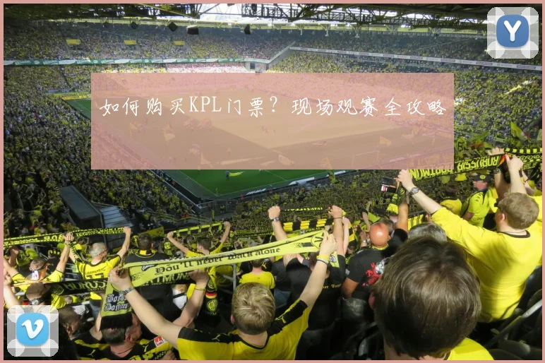 如何购买KPL门票?现场观赛全攻略
