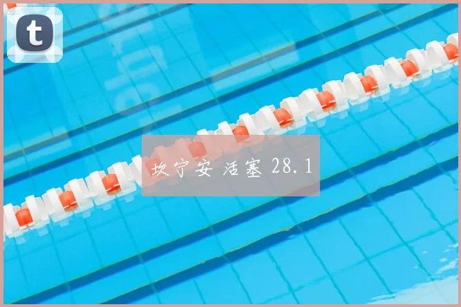 坎宁安 活塞 28.1