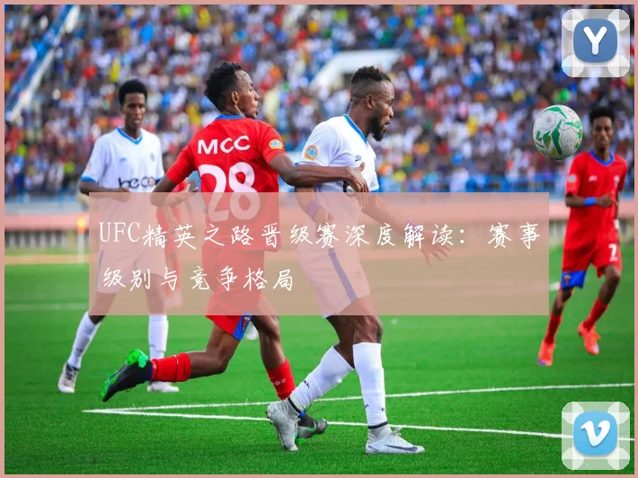 UFC精英之路晋级赛深度解读：赛事级别与竞争格局