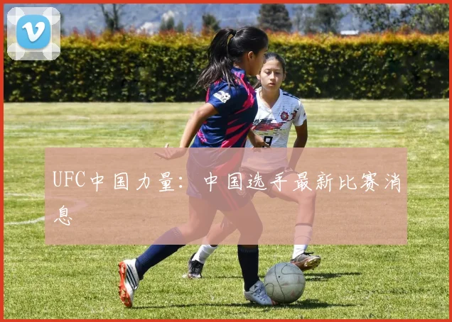 UFC中国力量：中国选手最新比赛消息