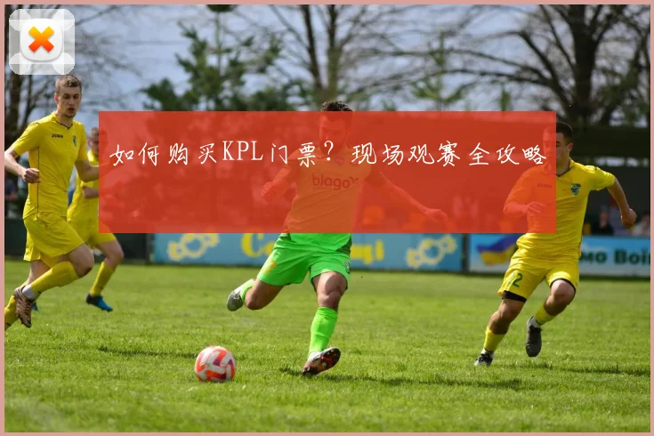 如何购买KPL门票？现场观赛全攻略