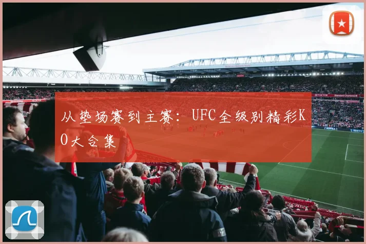 从垫场赛到主赛:UFC全级别精彩KO大合集