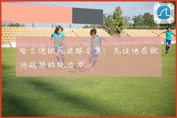 哈兰德欧冠进球合集:见证他在欧洲战场的统治力